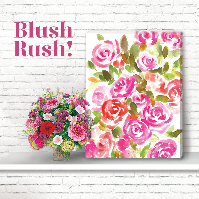 Blush Rush!